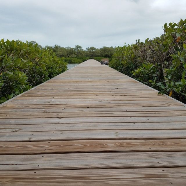Long Walk