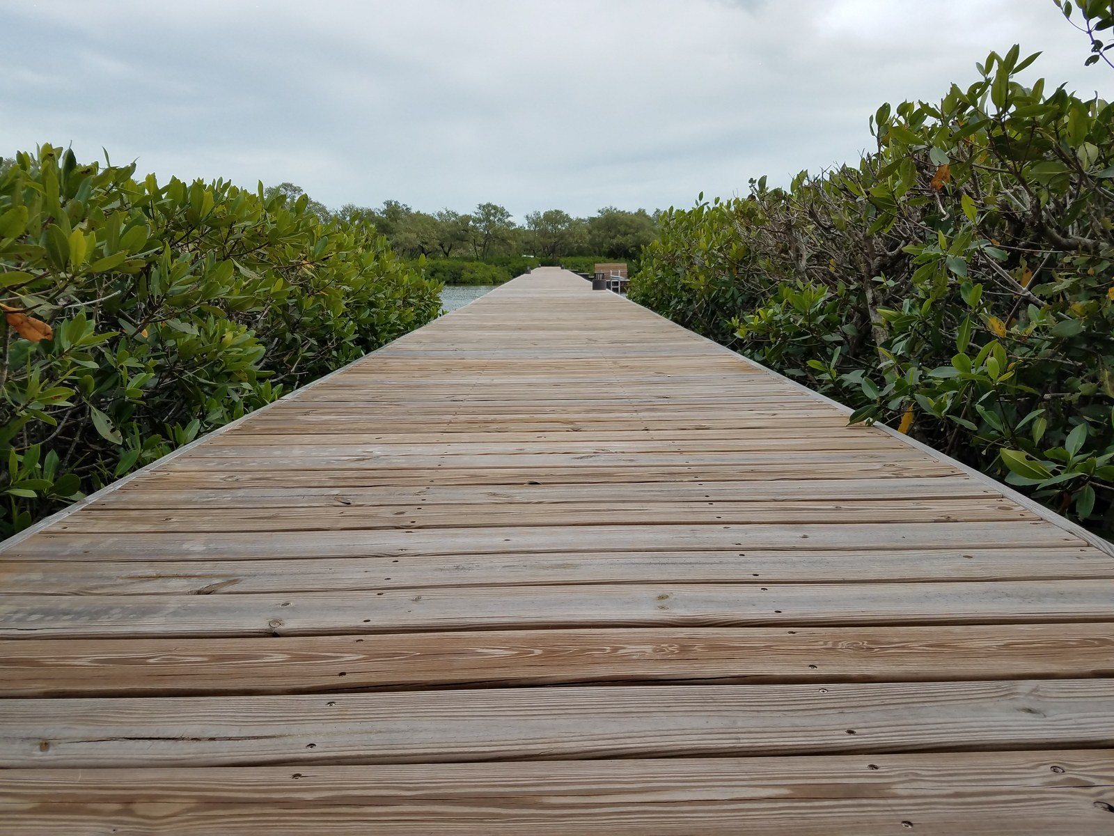 Long Walk