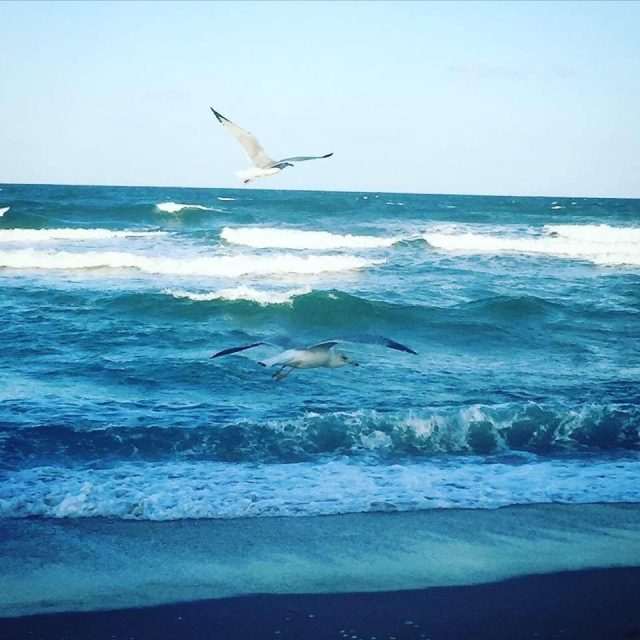 Wings Beneath The Sky