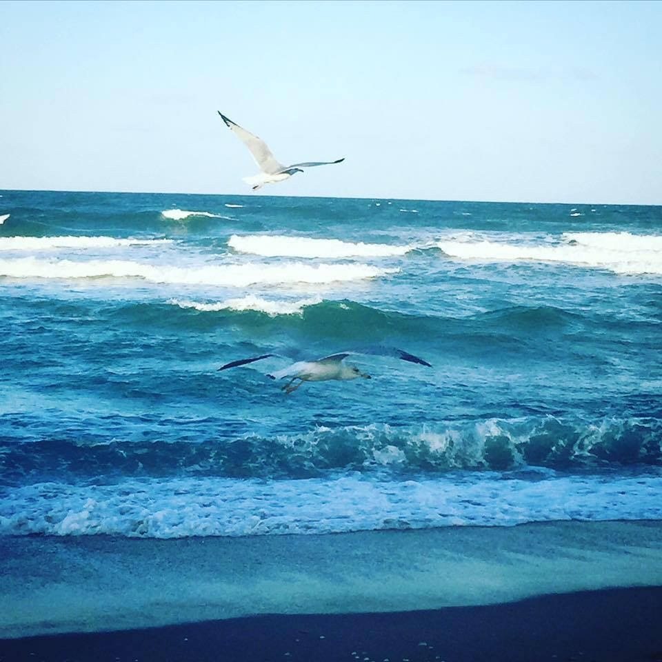 Wings Beneath The Sky
