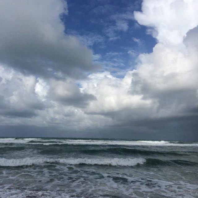 Waves In Motion