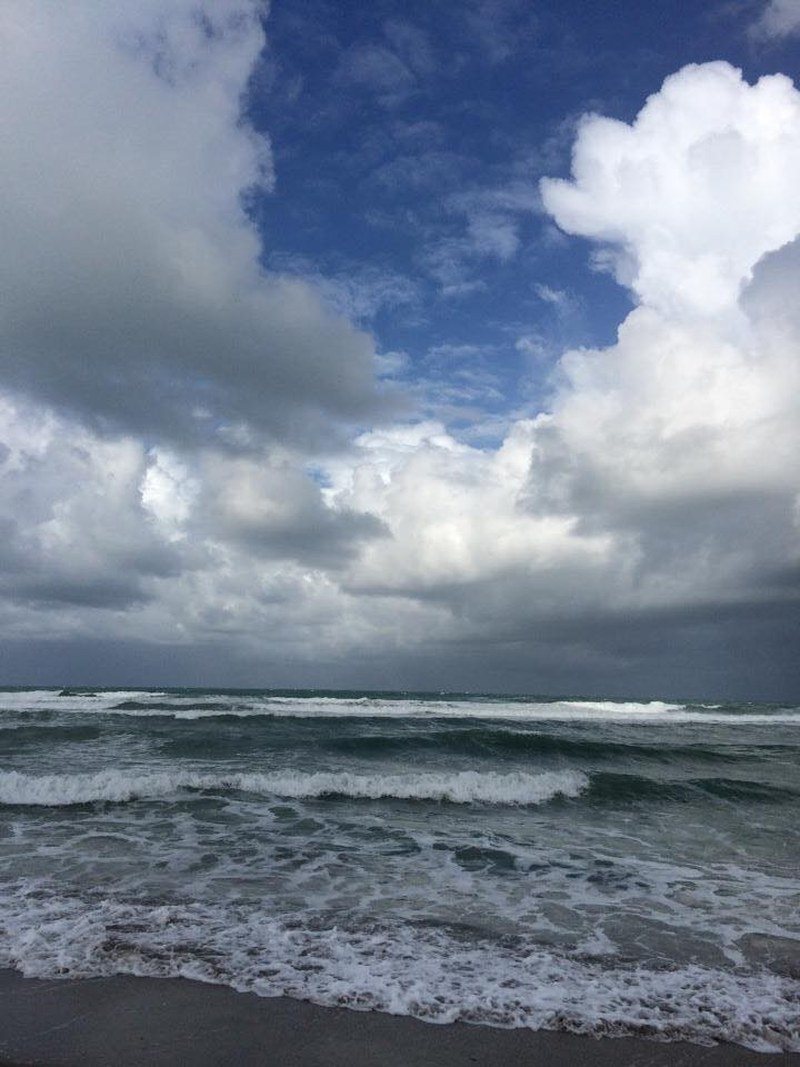 Waves In Motion