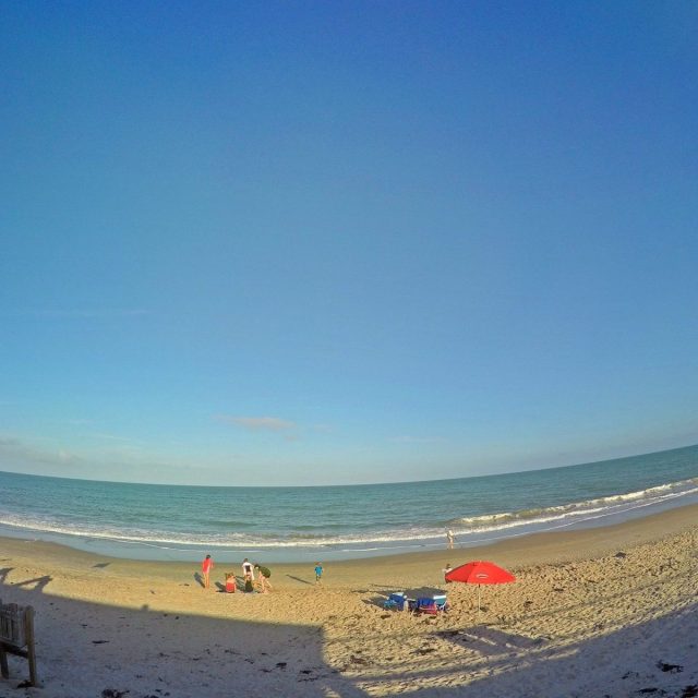 Beach Day