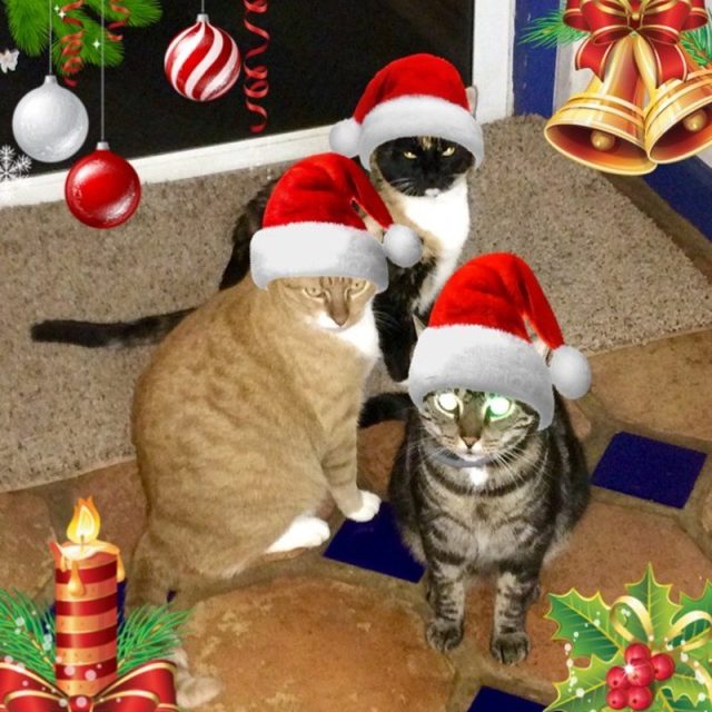 Waiting For Santa