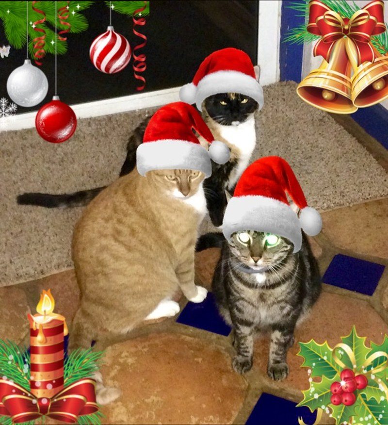Waiting For Santa