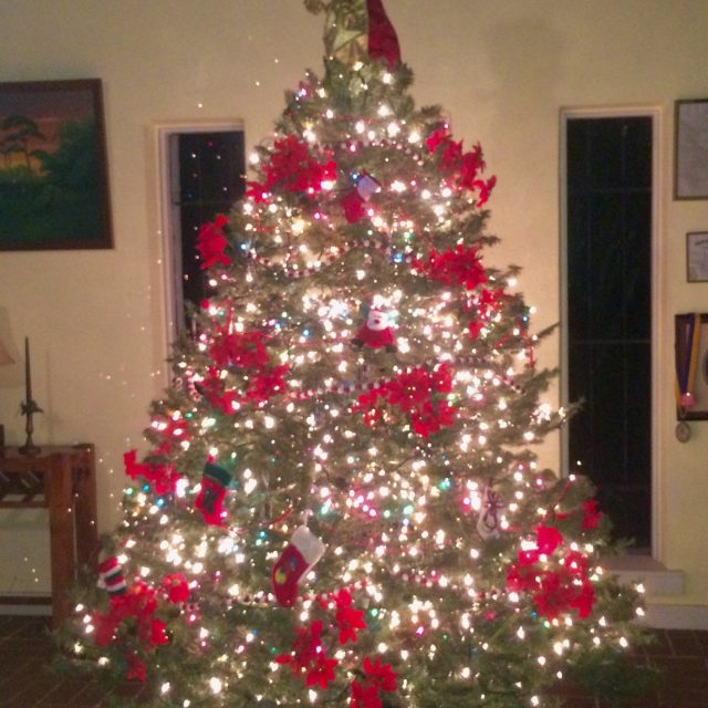 DeLightfull Tree