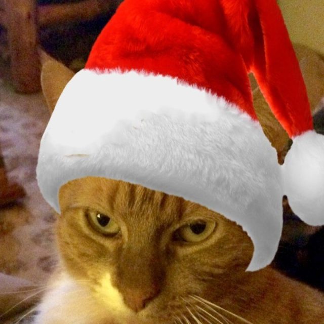The Grinch