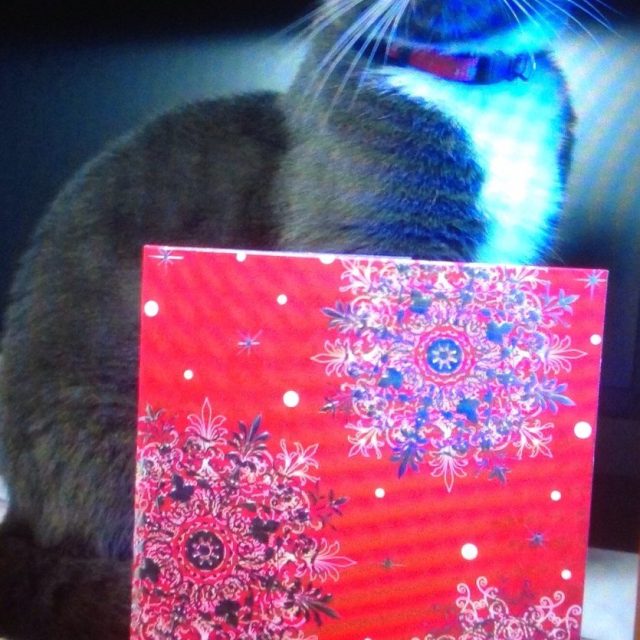 BO Wishing Love