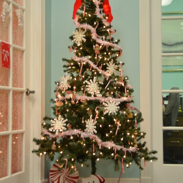 The Candy Tree