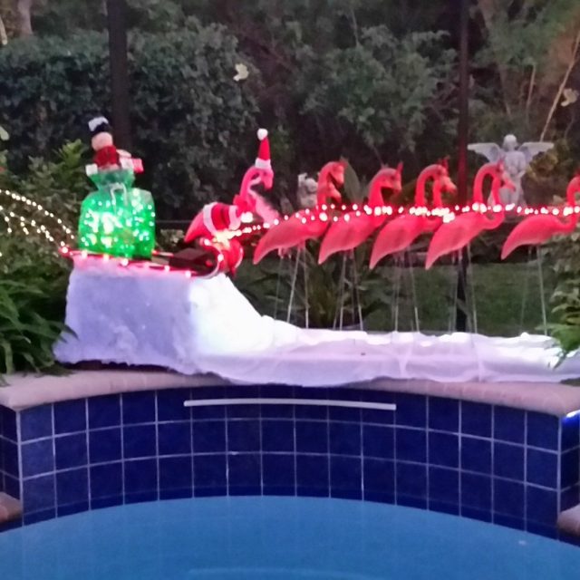 A Florida Santa