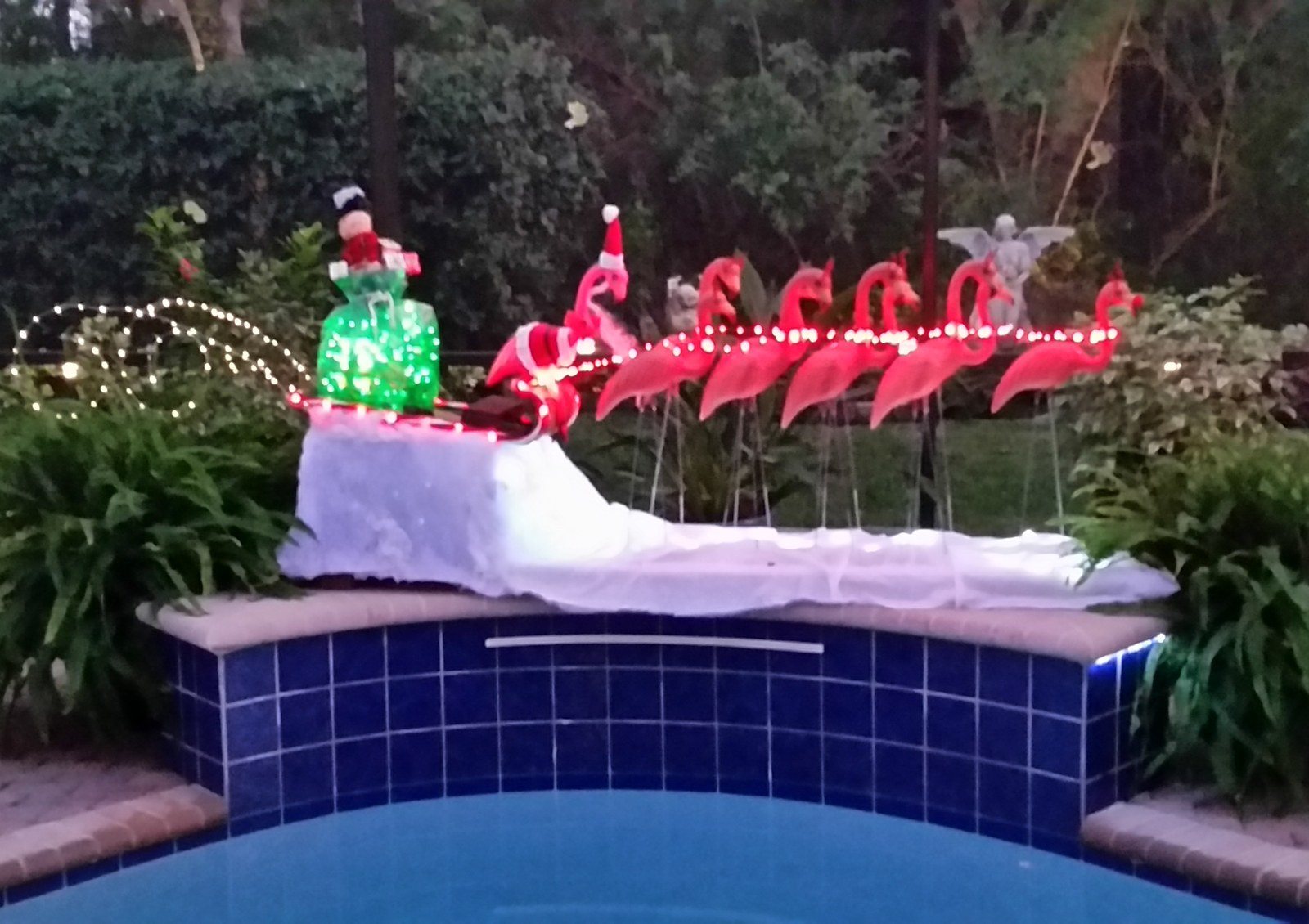 A Florida Santa