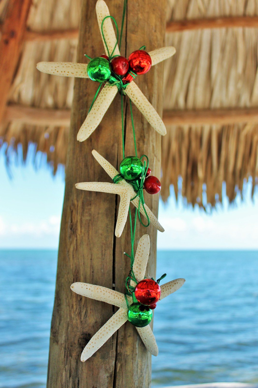 Happy Floridays!