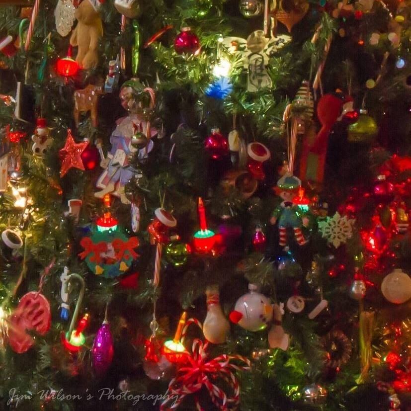 Joyce's Bubble Light Tree