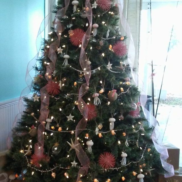 Under The Sea Christmas