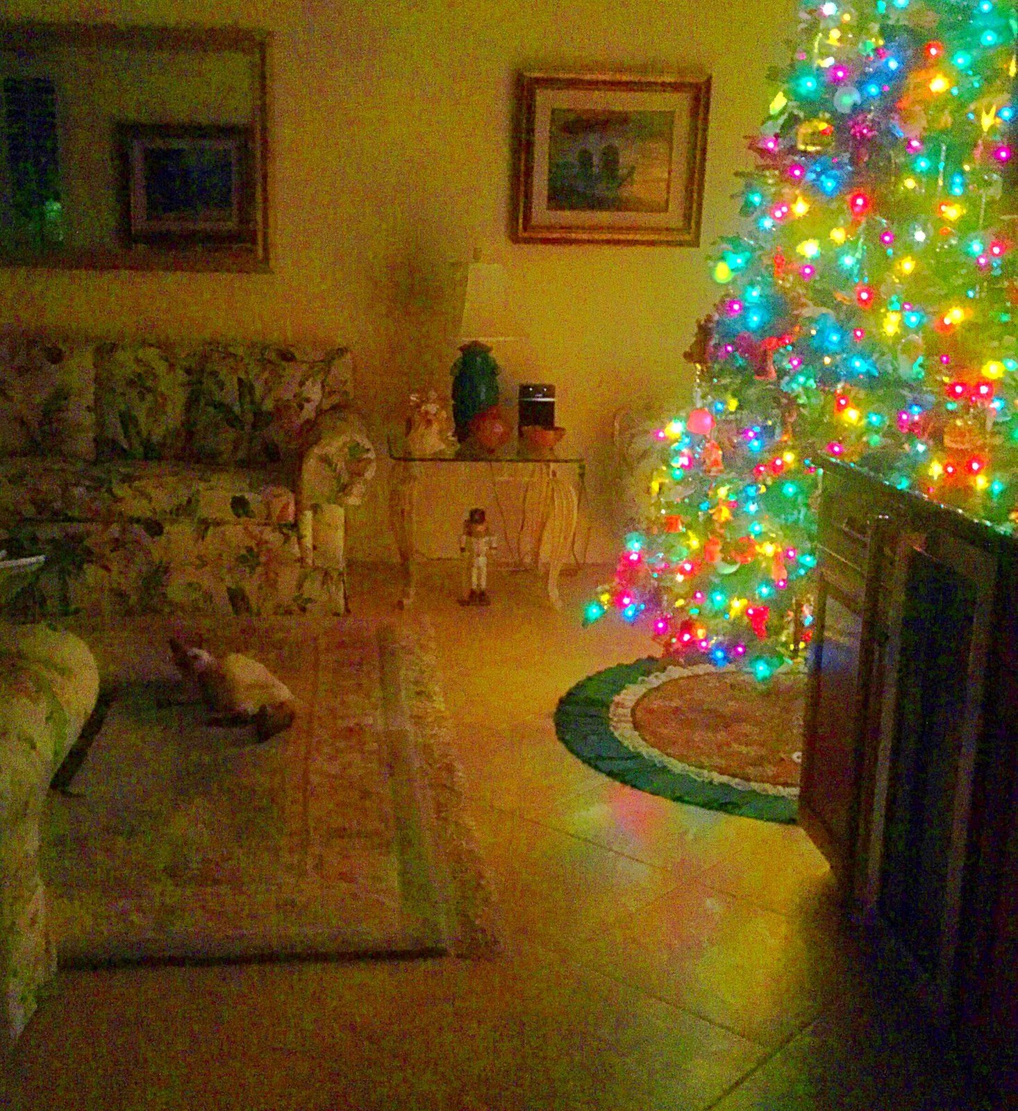 Christmas Tree Cat