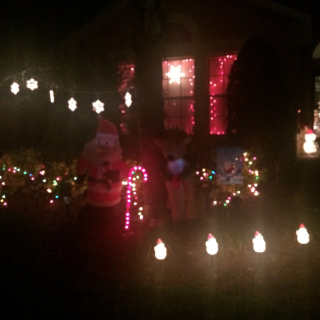 The Lights