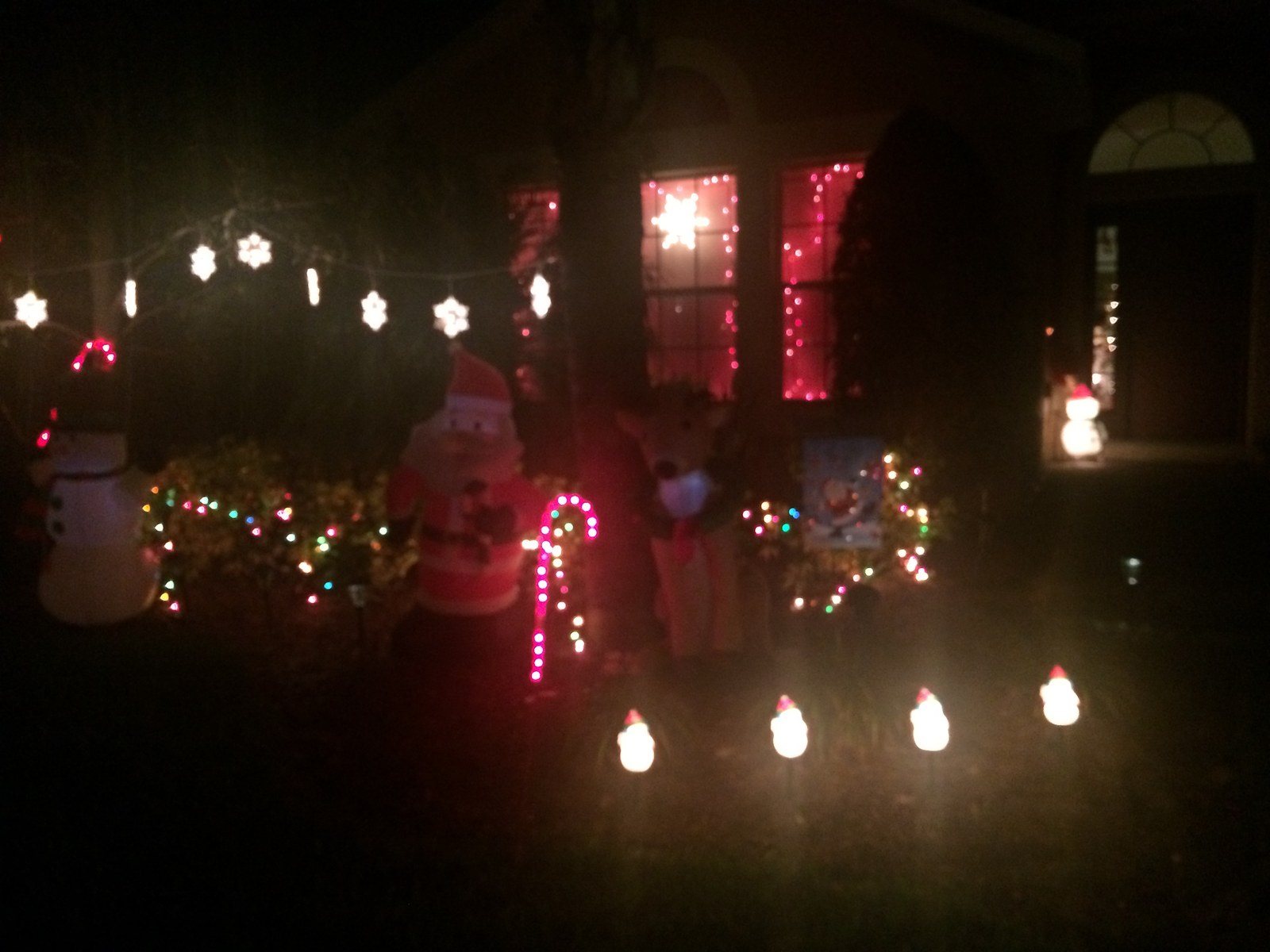 The Lights