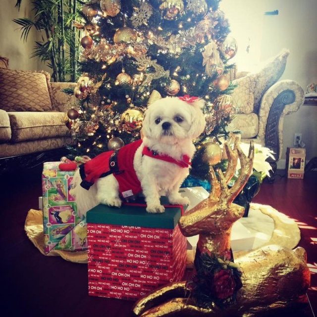 Gift Guarding