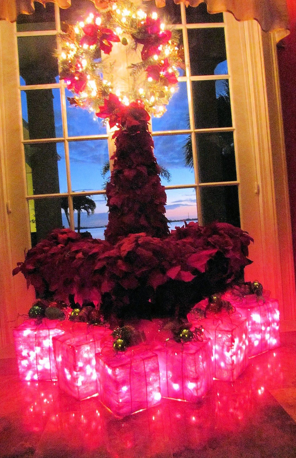 Poinsettia Tree