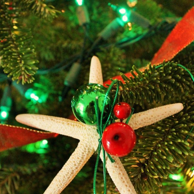 Christmas By The Sea.