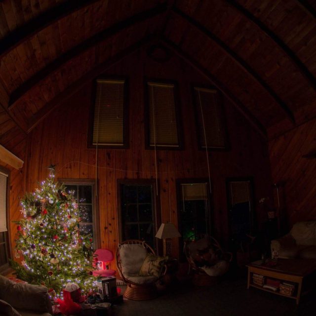 Not A Creature Was Stirring...