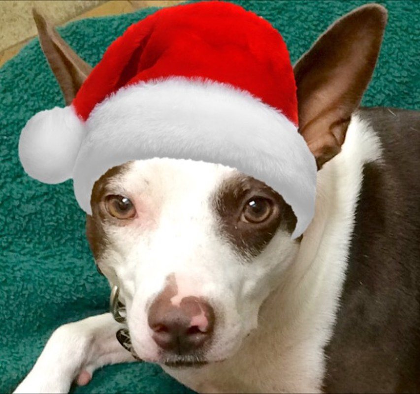 Santas Elf