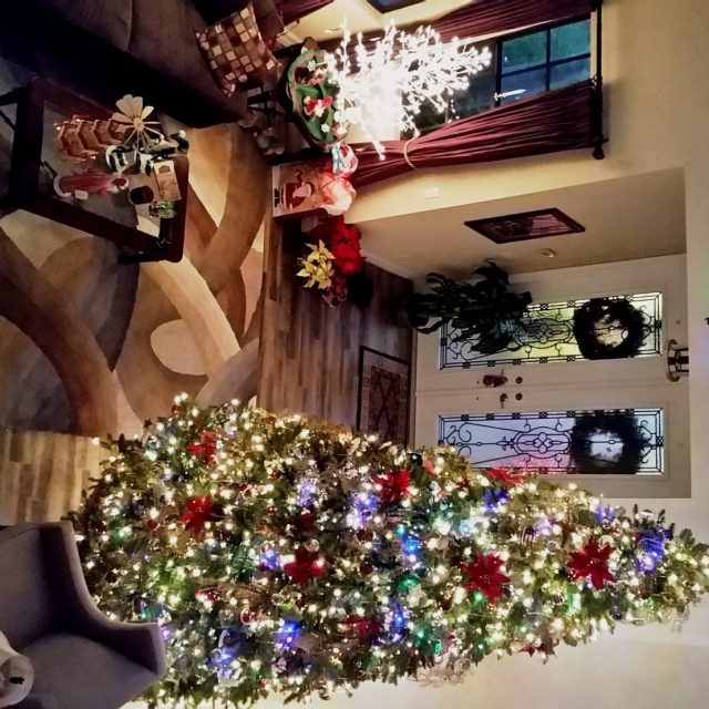House Full Of Christmas