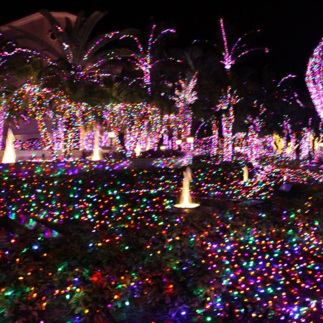 Christmas Wonder