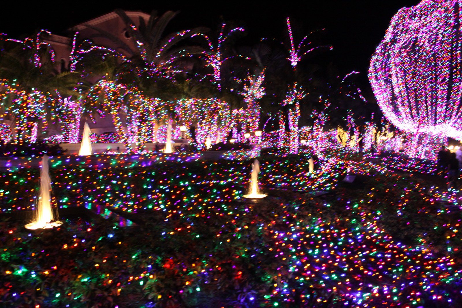 Christmas Wonder