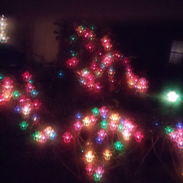 Lights Christmas