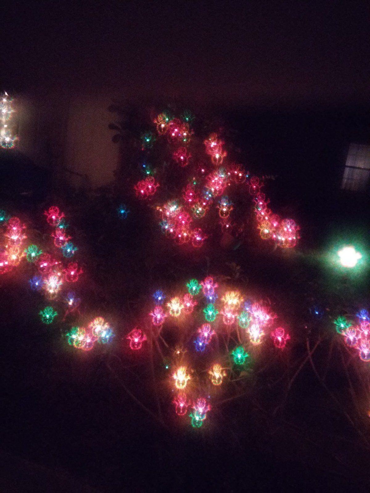 Lights Christmas