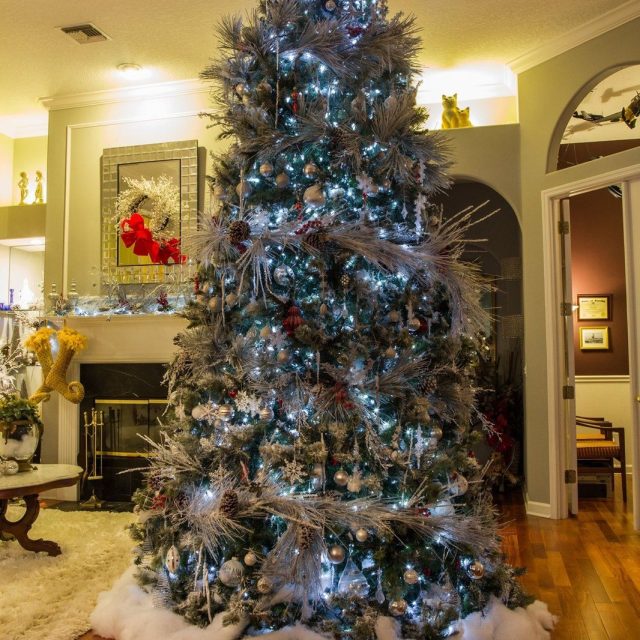 Joyce's Big Tree 2015