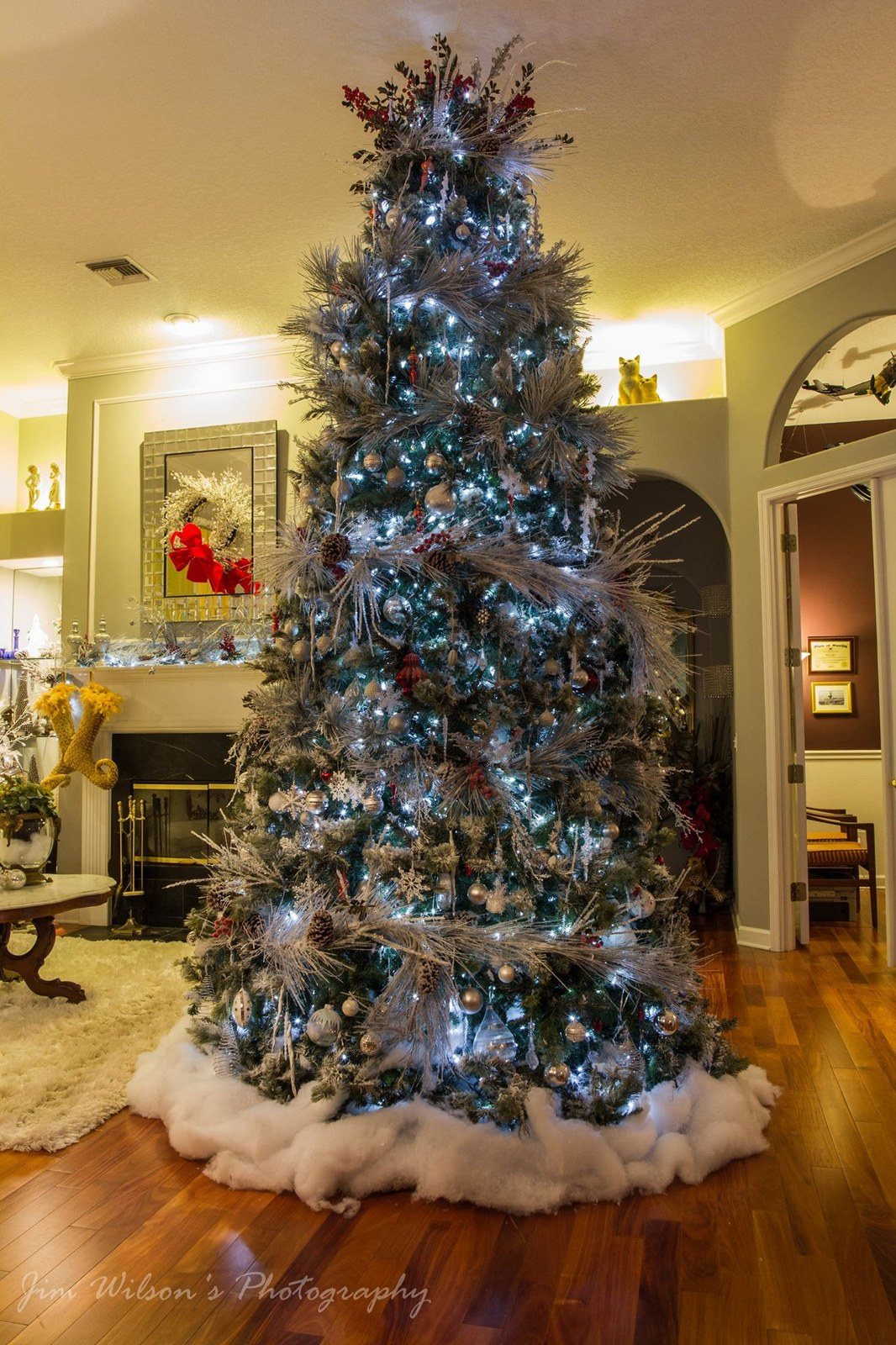 Joyce's Big Tree 2015