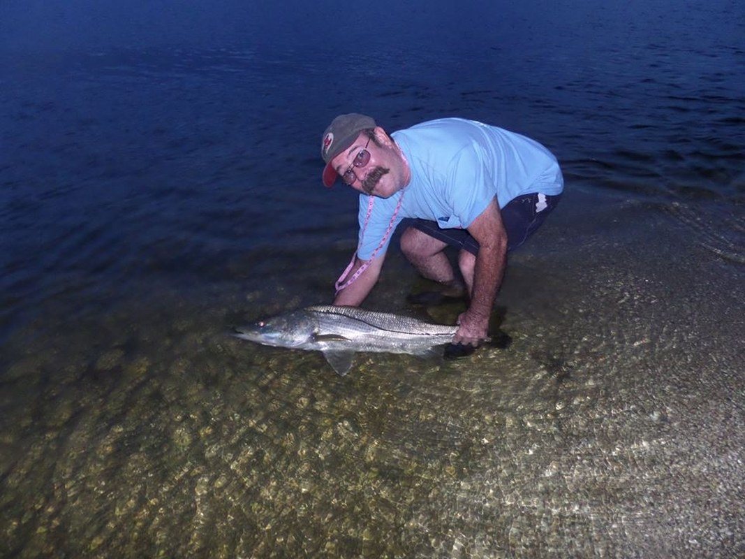 Releasing A 38 1/2 In Snook To Catch Again