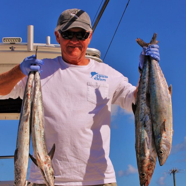 Kingfish!
