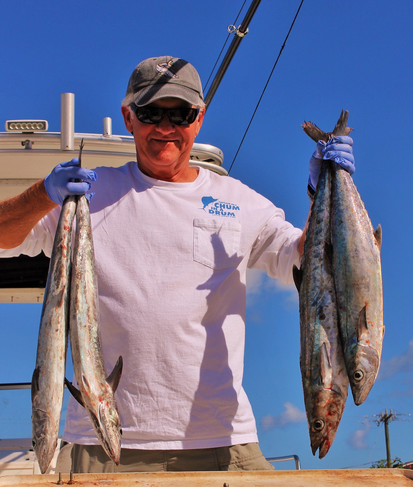 Kingfish!