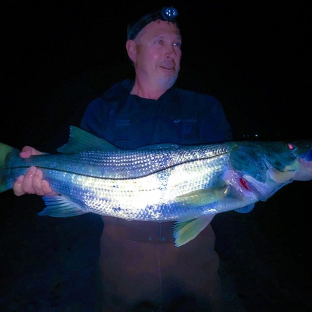 Scott C/r Snook
