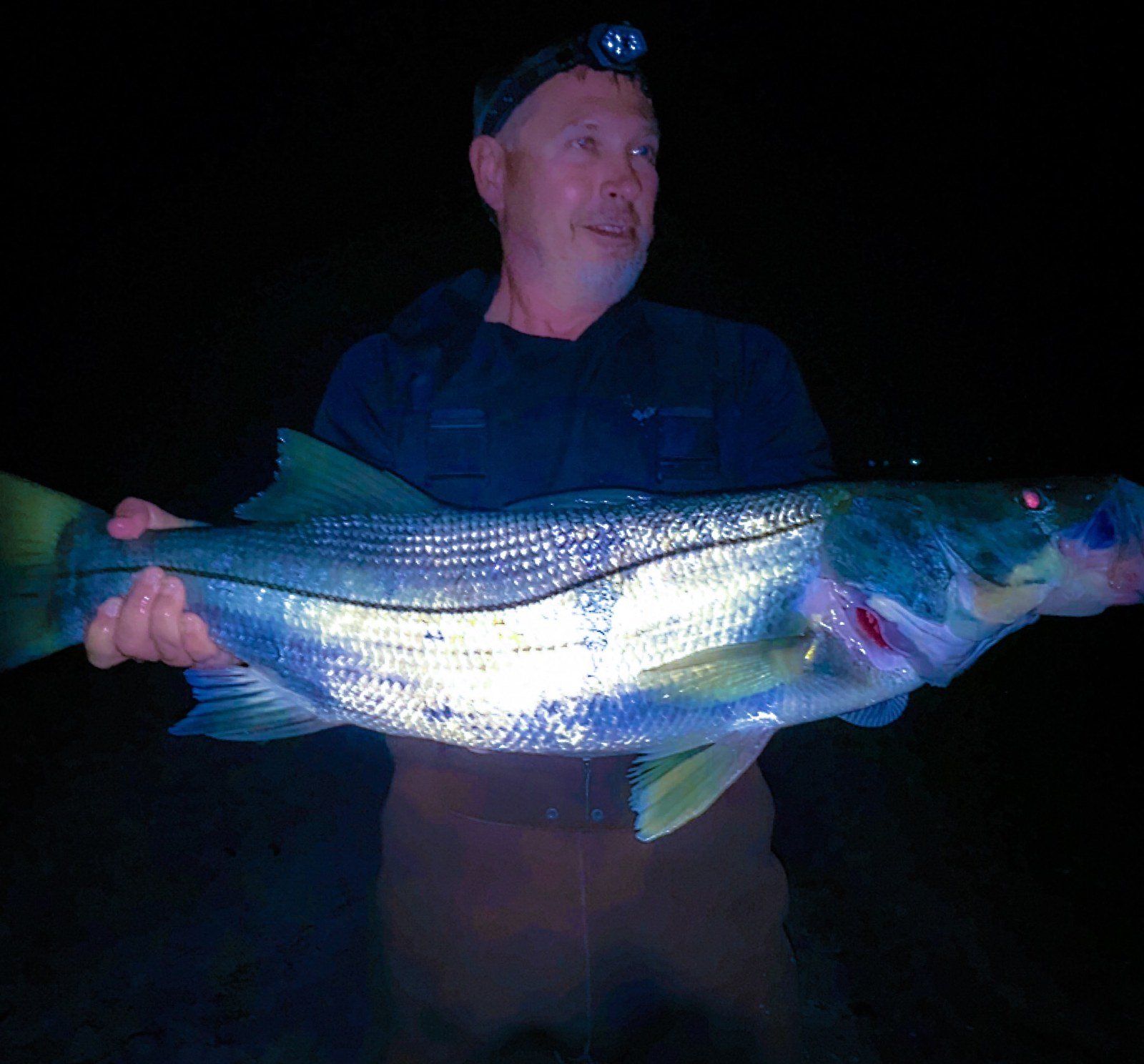 Scott C/r Snook