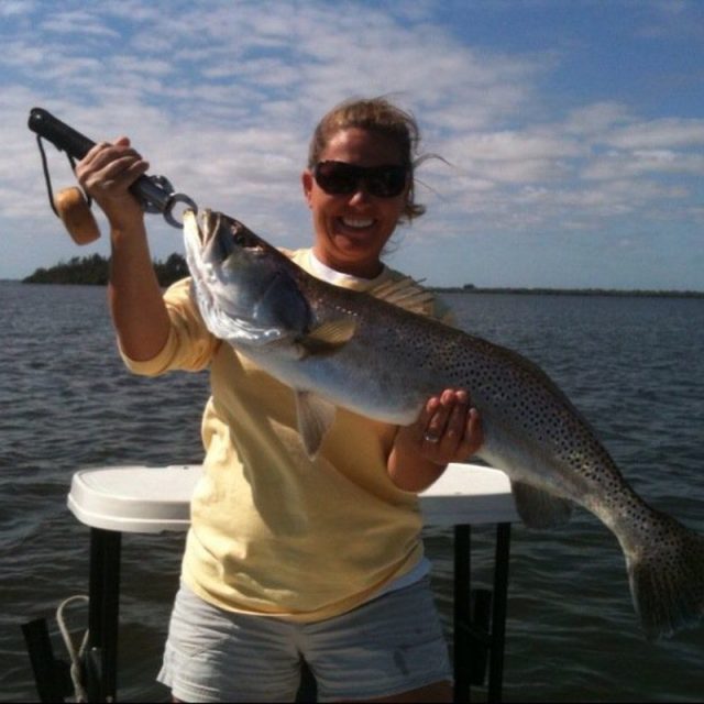 12lb Gator Trout