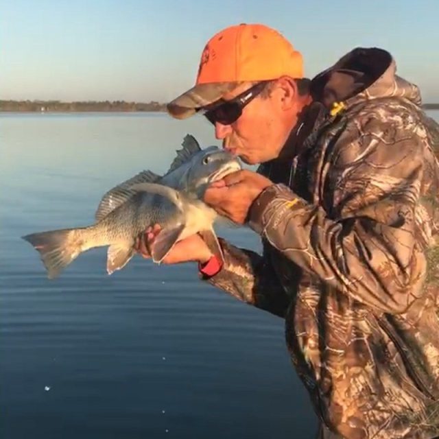 Catch And Release