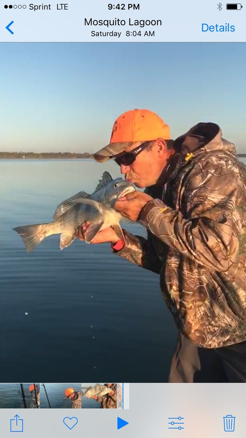 Catch And Release
