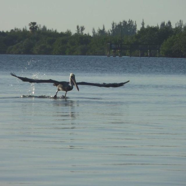 Graceful Landing