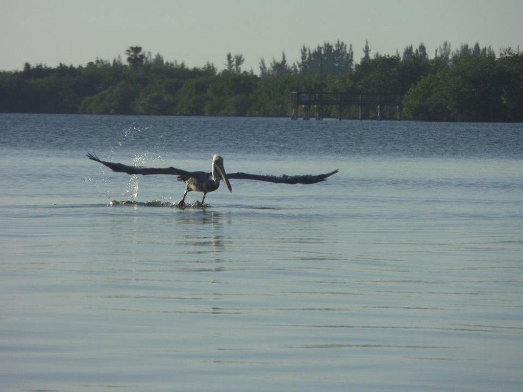 Graceful Landing