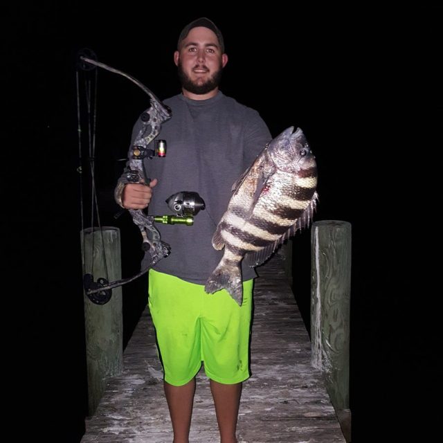 23 Inch Sheepshead Shot With A Bow
