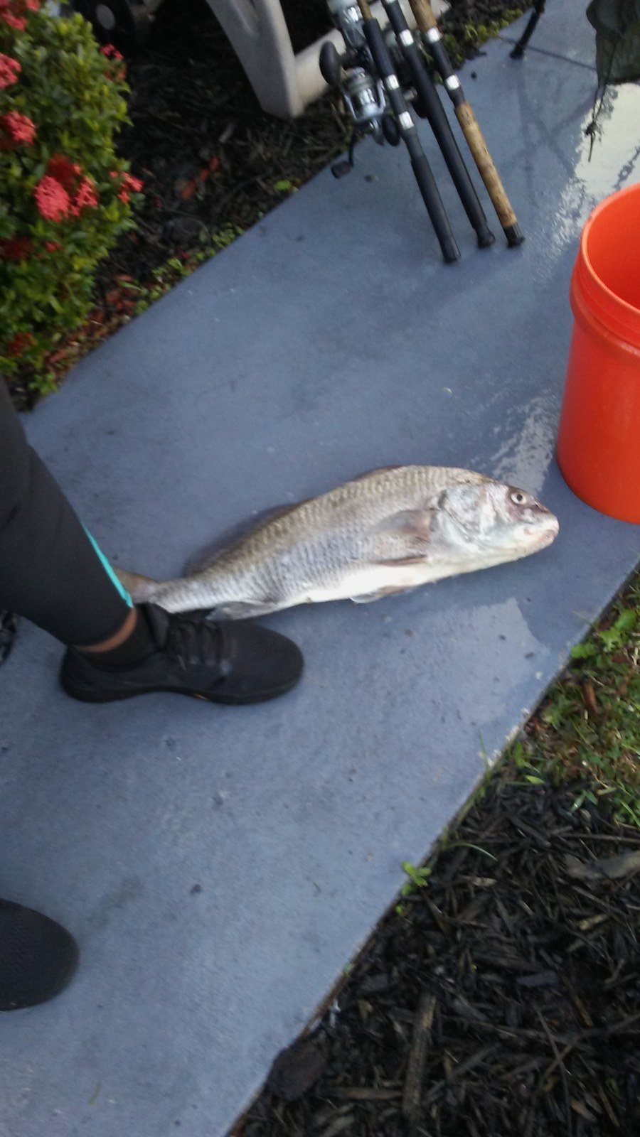 Meka's Big Black Drum