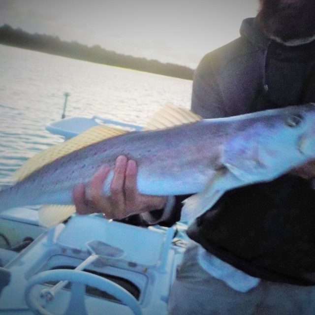 Capt. Rob With My 27 Incher