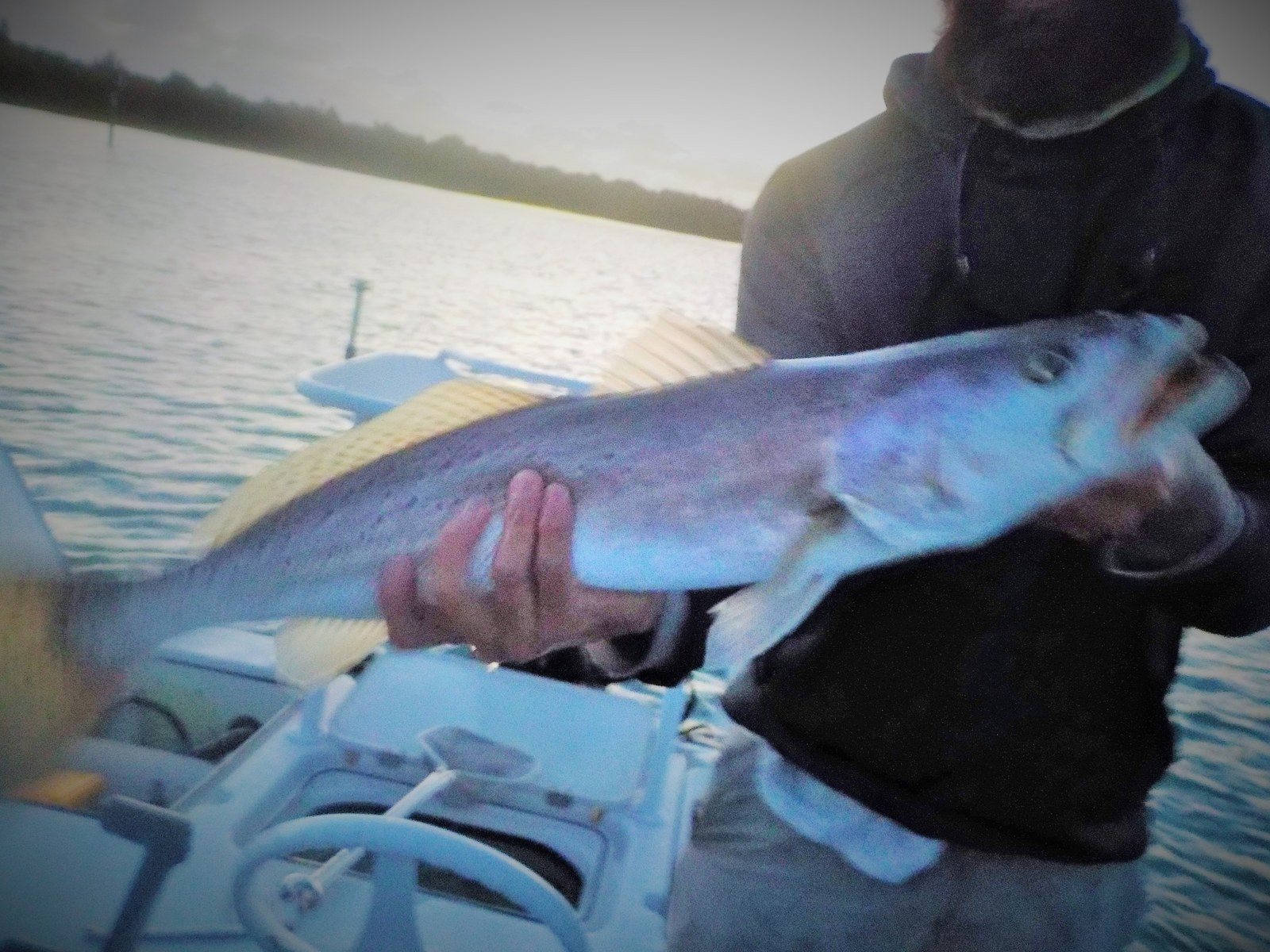 Capt. Rob With My 27 Incher