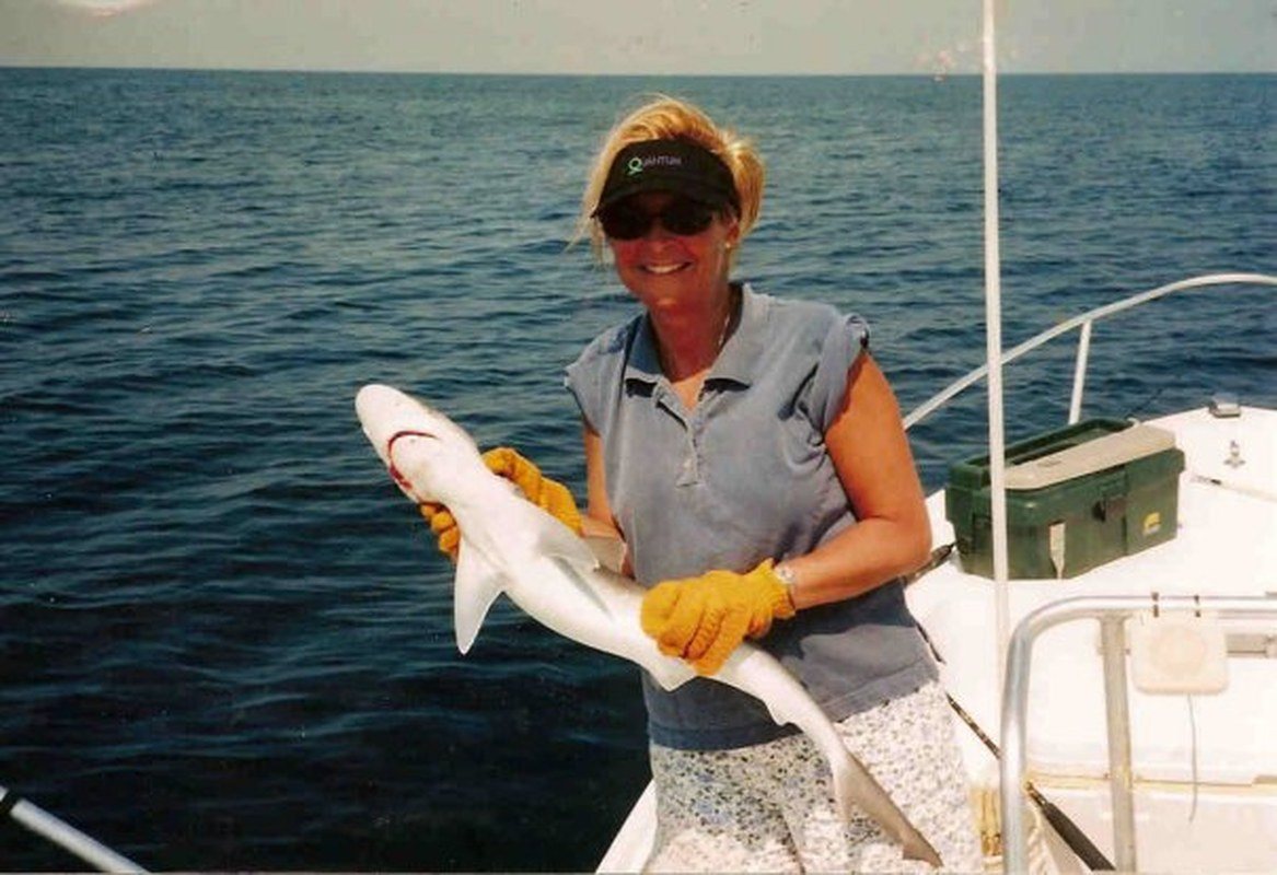 Shark!