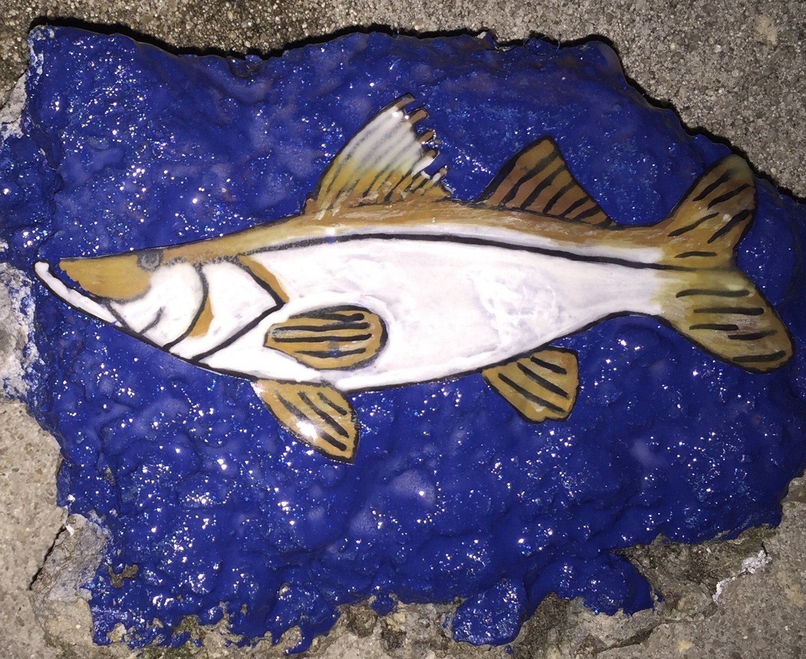 Snook