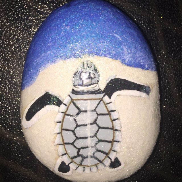 Baby Sea Turtle